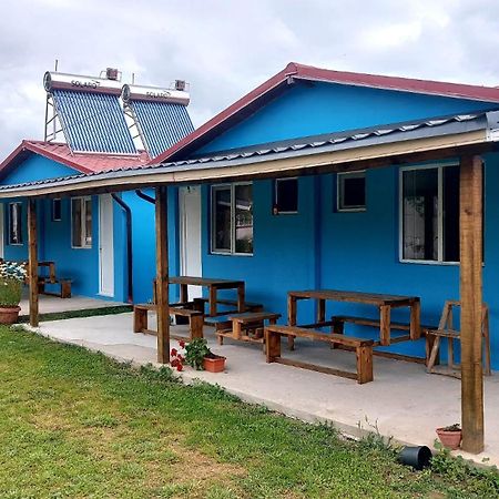 La Olteanu Hotel Vadu Eksteriør billede