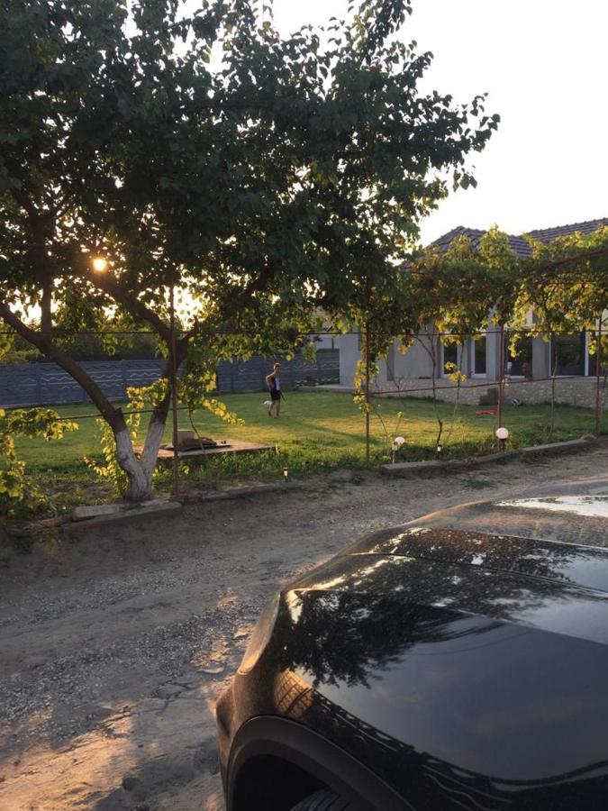 La Olteanu Hotel Vadu Eksteriør billede